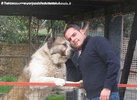 Tay in famiglia